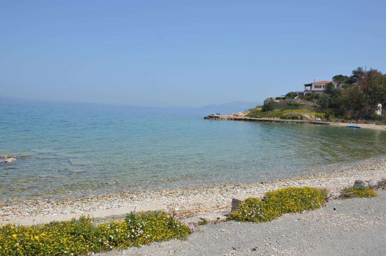 Epipleon Suites Agioi Apostoloi  Dış mekan fotoğraf